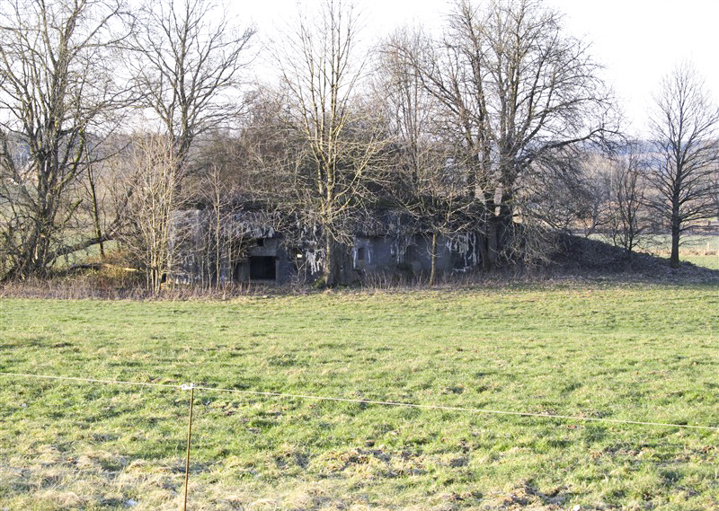 Ligne Maginot - A44 - REGNIOWEZ - (Blockhaus pour canon) -  - François MATHOT