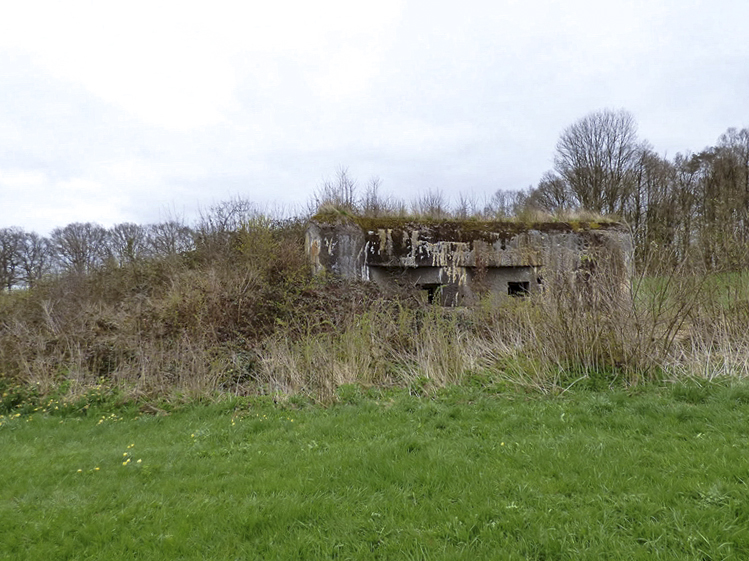 Ligne Maginot - A44 - REGNIOWEZ - (Blockhaus pour canon) -  - Jean-Marie BRAMS
