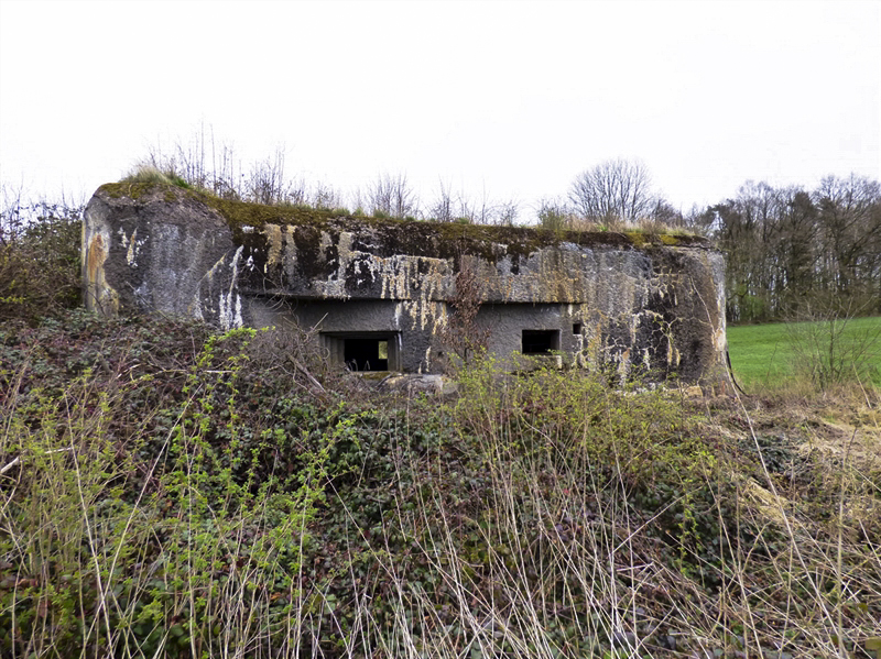 Ligne Maginot - A44 - REGNIOWEZ - (Blockhaus pour canon) -  - Jean-Marie BRAMS