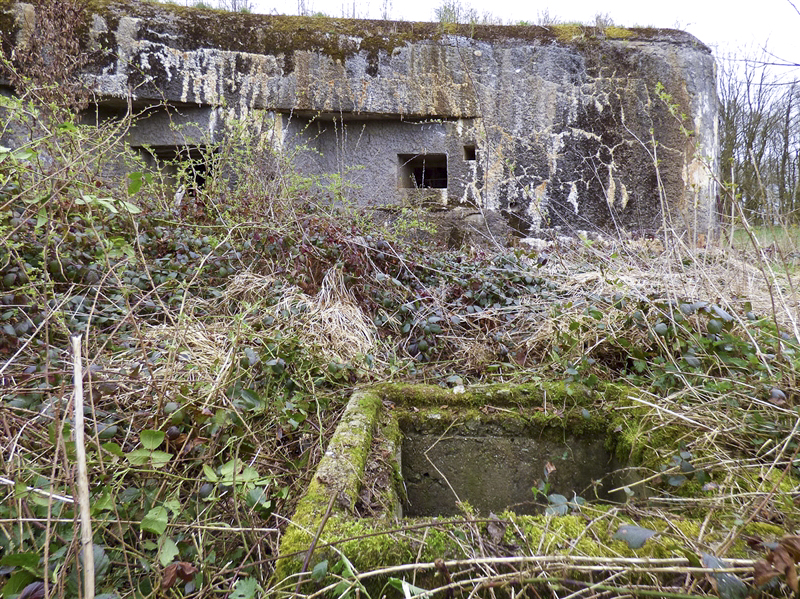 Ligne Maginot - A44 - REGNIOWEZ - (Blockhaus pour canon) -  - Jean-Marie BRAMS