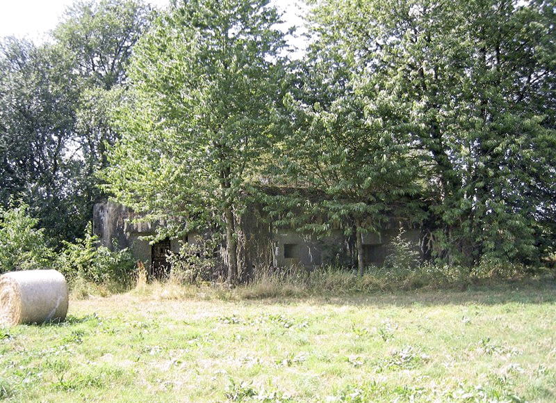 Ligne Maginot - A44 - REGNIOWEZ - (Blockhaus pour canon) -  - Jean POUMAY