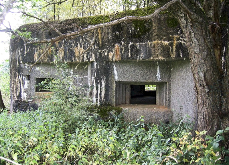 Ligne Maginot - A44 - REGNIOWEZ - (Blockhaus pour canon) -  - Jean POUMAY