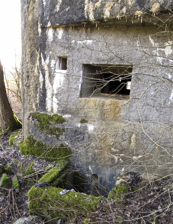 Ligne Maginot - A44 - REGNIOWEZ - (Blockhaus pour canon) -  - François MATHOT