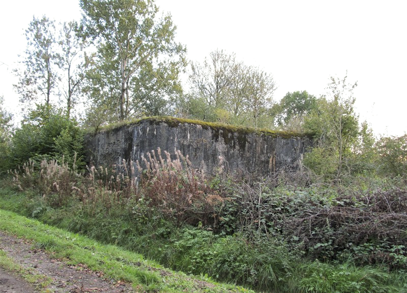 Ligne Maginot - A45 - CHATEAU ROUGE OUEST - (Blockhaus pour canon) -  - François MATHOT