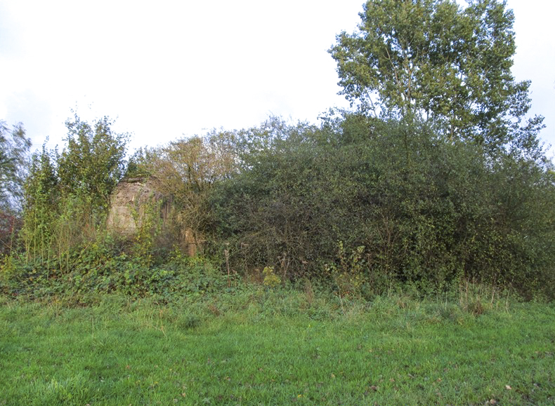 Ligne Maginot - A45 - CHATEAU ROUGE OUEST - (Blockhaus pour canon) -  - François MATHOT