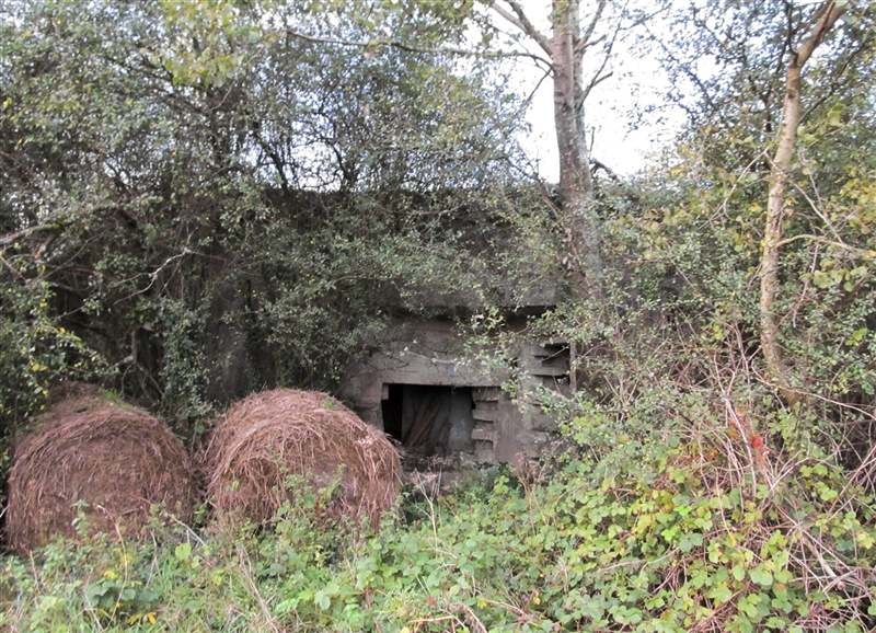 Ligne Maginot - A45 - CHATEAU ROUGE OUEST - (Blockhaus pour canon) -  - François MATHOT