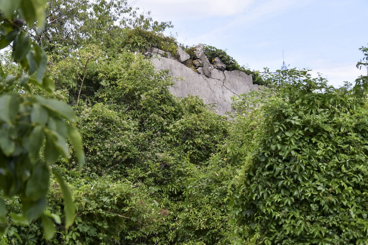 Ligne Maginot - 52/3 - CHAPELLE SAINTE COLOMBE - (Casemate d'infanterie - Double) - Ruine dépassant du bosquet - Daniel Froehly