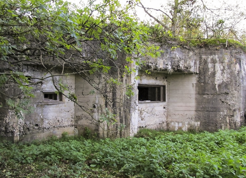 Ligne Maginot - A46 - CHATEAU ROUGE EST - (Blockhaus pour canon) -  - François MATHOT