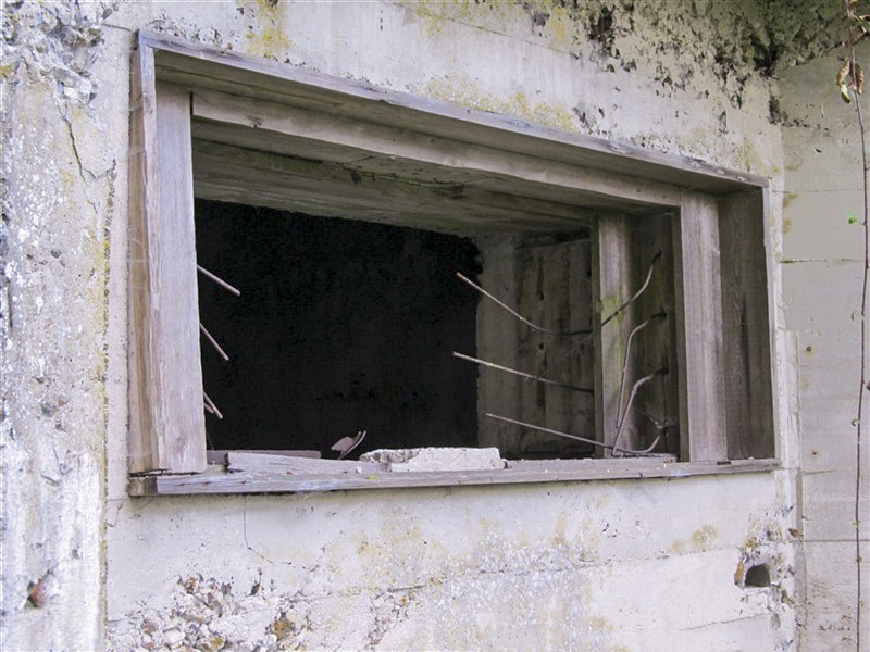 Ligne Maginot - A46 - CHATEAU ROUGE EST - (Blockhaus pour canon) -  - François MATHOT