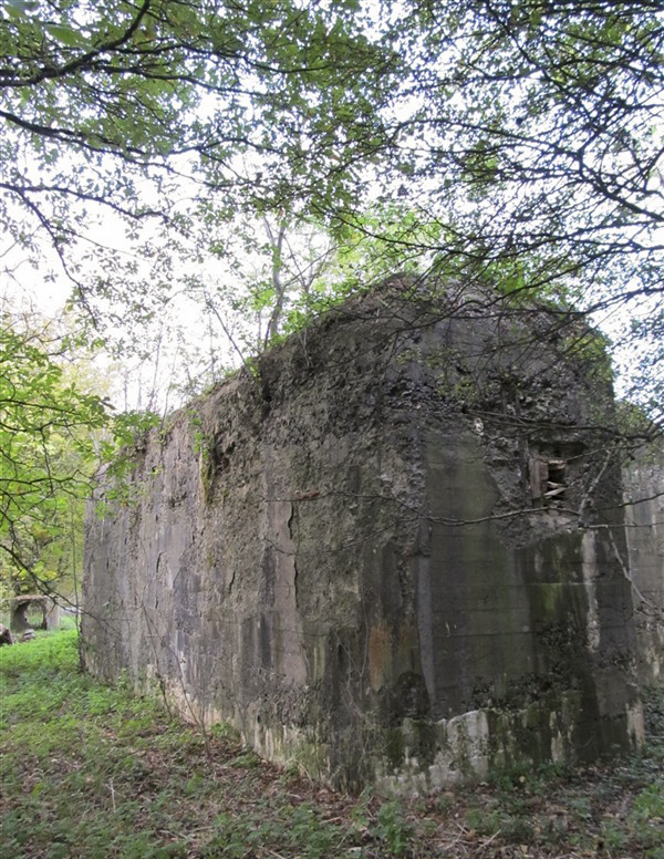 Ligne Maginot - A46 - CHATEAU ROUGE EST - (Blockhaus pour canon) -  - François MATHOT