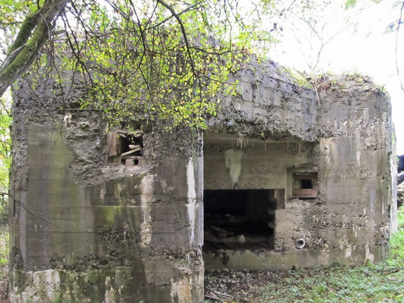 Ligne Maginot - A46 - CHATEAU ROUGE EST - (Blockhaus pour canon) -  - François MATHOT