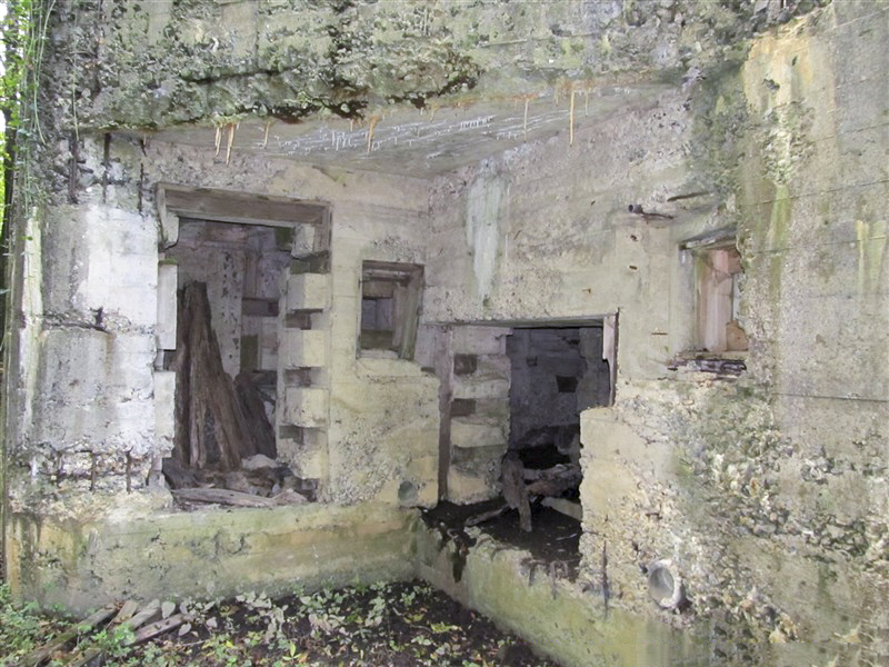 Ligne Maginot - A46 - CHATEAU ROUGE EST - (Blockhaus pour canon) -  - François MATHOT