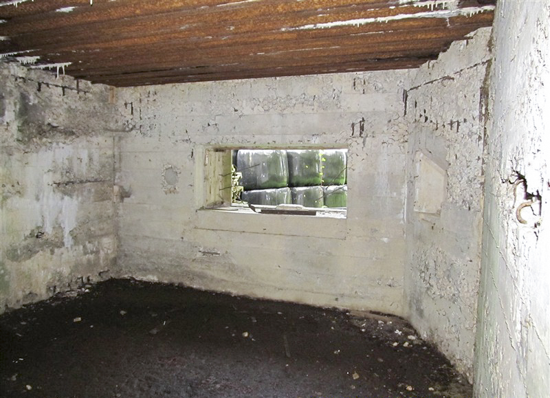 Ligne Maginot - A46 - CHATEAU ROUGE EST - (Blockhaus pour canon) -  - François MATHOT