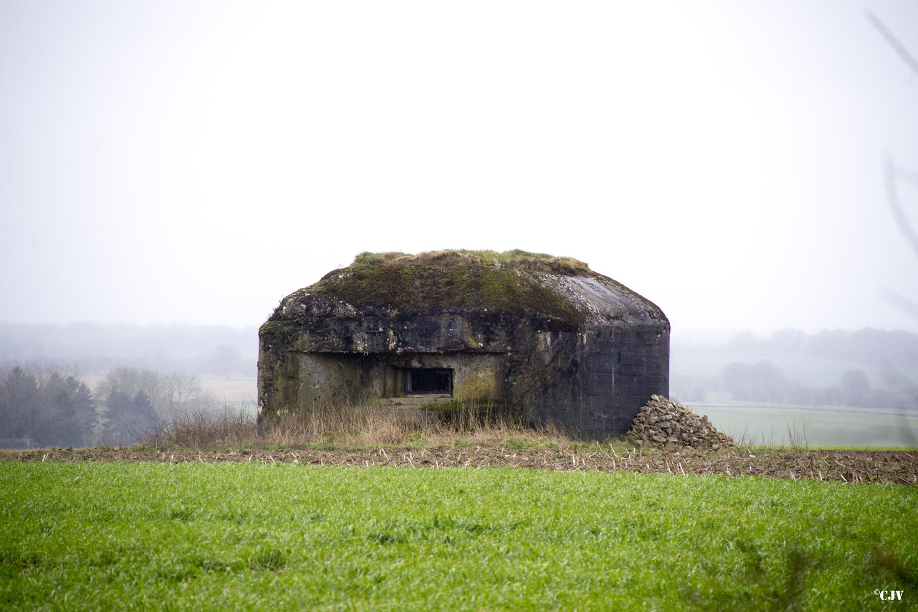 Ligne Maginot - B776 - LES ROLIVEAUX - (Blockhaus pour canon) -  - Lia VERMEULEN
