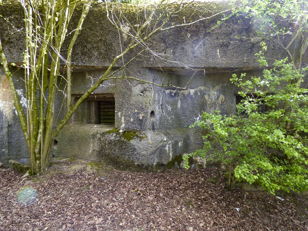 Ligne Maginot - A53 - BELHOMME - (Blockhaus pour canon) -  - JMBrams