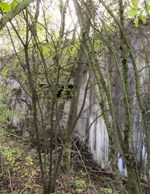 Ligne Maginot - A54 - CROIX BLONDEAU - (Blockhaus pour canon) -  - François MATHOT