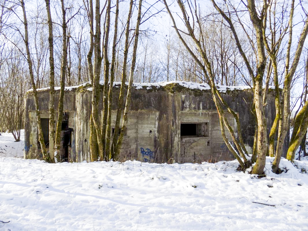 Ligne Maginot - A54 - CROIX BLONDEAU - (Blockhaus pour canon) - Les entrées et face frontale - R Tucker