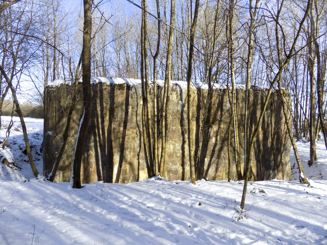 Ligne Maginot - A54 - CROIX BLONDEAU - (Blockhaus pour canon) - L'arrière - R Tucker