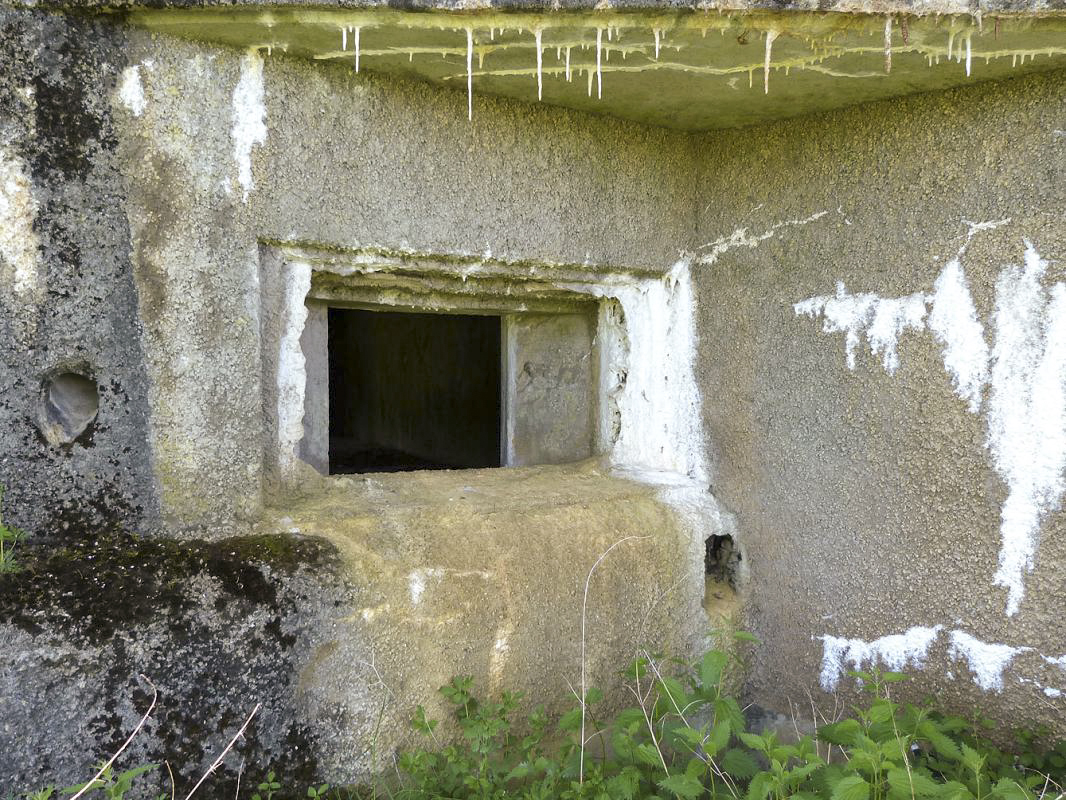 Ligne Maginot - A55 - CENSE PICOT - (Casemate d'infanterie - Double) -  - JMBrams