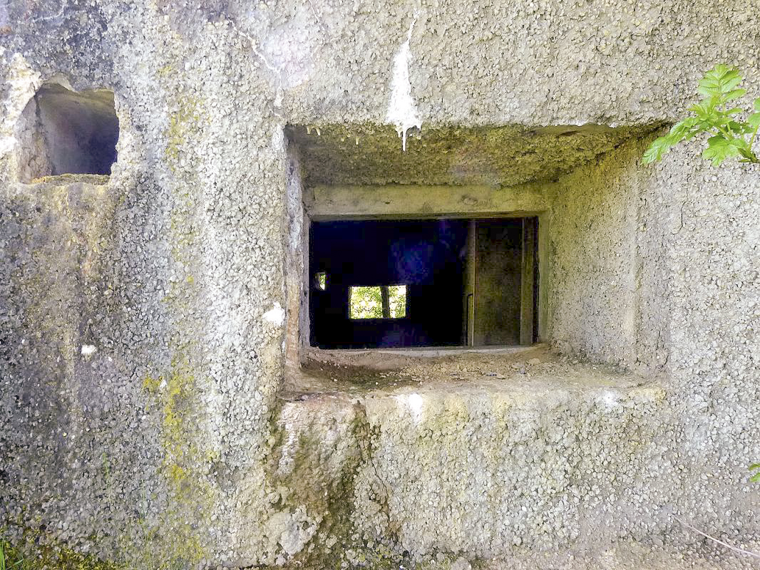 Ligne Maginot - A55 - CENSE PICOT - (Casemate d'infanterie - Double) -  - JMBrams