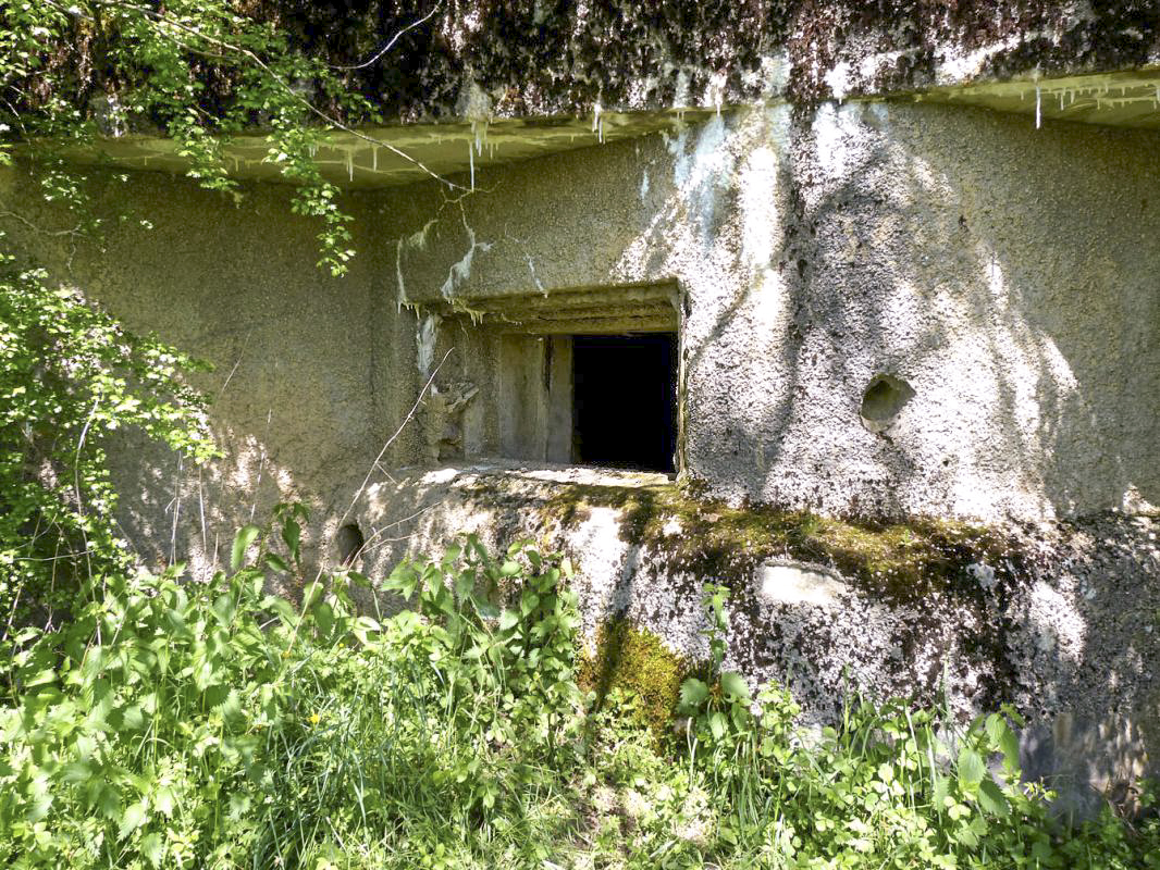 Ligne Maginot - A55 - CENSE PICOT - (Casemate d'infanterie - Double) -  - JMBrams