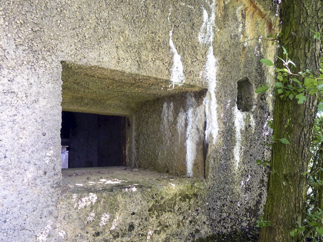 Ligne Maginot - A55 - CENSE PICOT - (Casemate d'infanterie - Double) -  - JMBrams