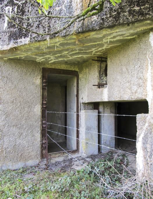 Ligne Maginot - A55 - CENSE PICOT - (Casemate d'infanterie - Double) -  - François MATHOT