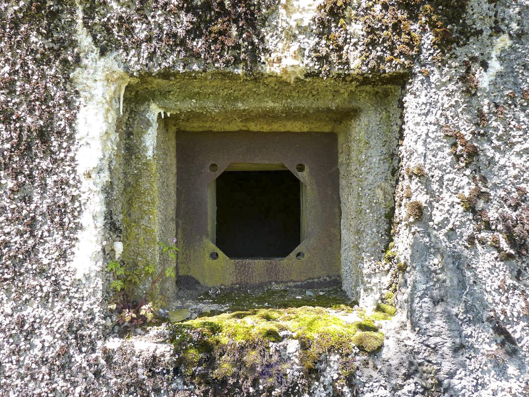 Ligne Maginot - A55 - CENSE PICOT - (Casemate d'infanterie - Double) -  - JMBrams