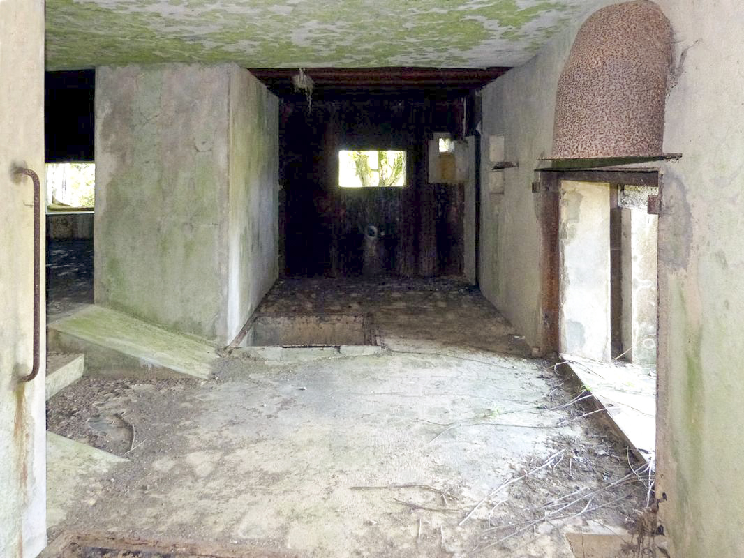 Ligne Maginot - A55 - CENSE PICOT - (Casemate d'infanterie - Double) -  - JMBrams