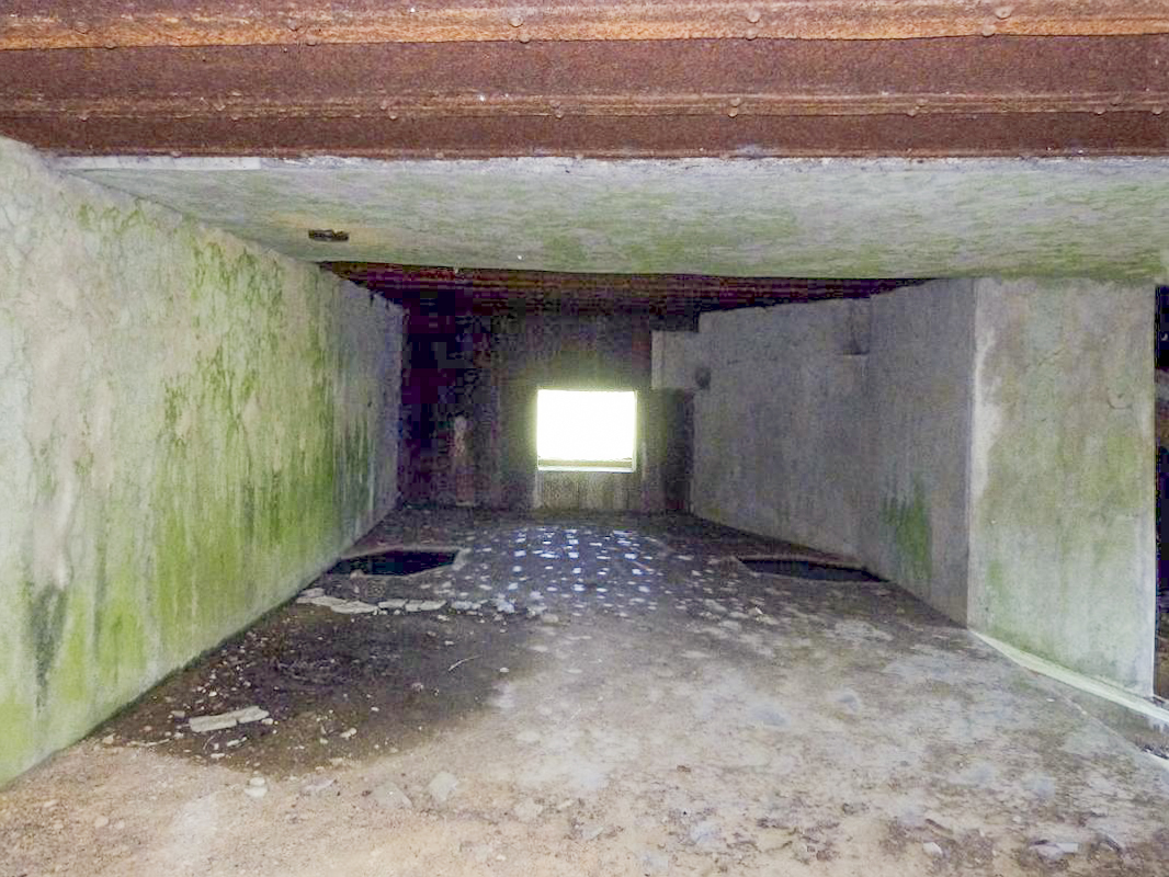 Ligne Maginot - A55 - CENSE PICOT - (Casemate d'infanterie - Double) -  - JMBrams
