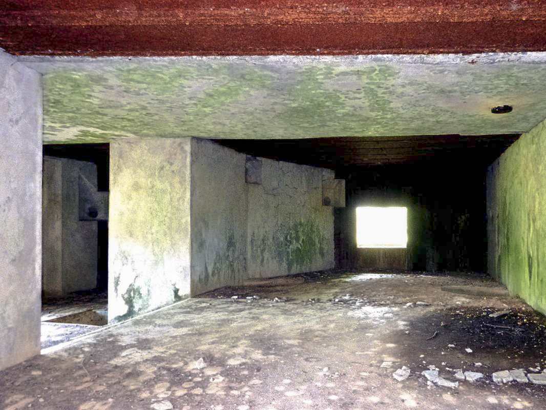 Ligne Maginot - A55 - CENSE PICOT - (Casemate d'infanterie - Double) -  - JMBrams
