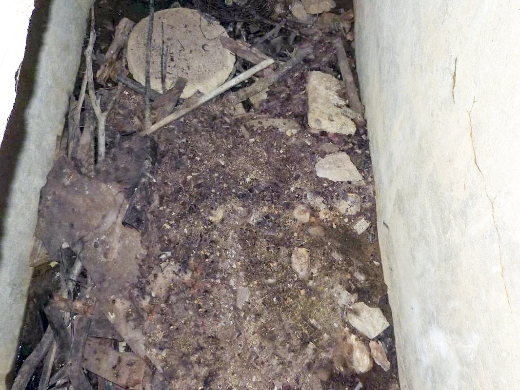 Ligne Maginot - A55 - CENSE PICOT - (Casemate d'infanterie - Double) - Etage inférieur - JMBrams