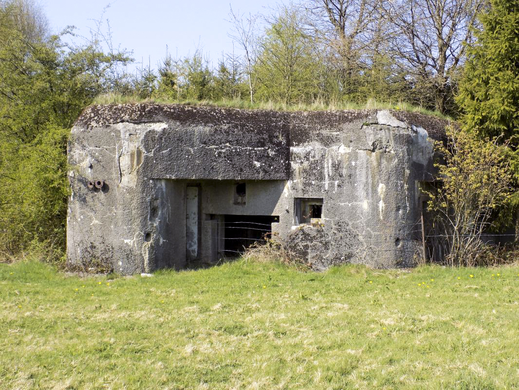 Ligne Maginot - A56 - BOUT D'EN HAUT - (Blockhaus pour canon) - L'arrière - R Tucker