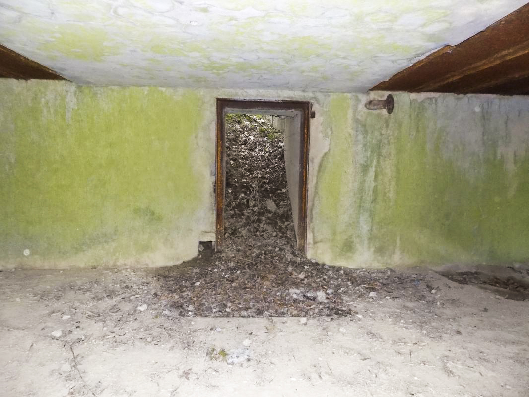 Ligne Maginot - A56 - BOUT D'EN HAUT - (Blockhaus pour canon) - Accès au puits pour cloche, pas installée - R Tucker