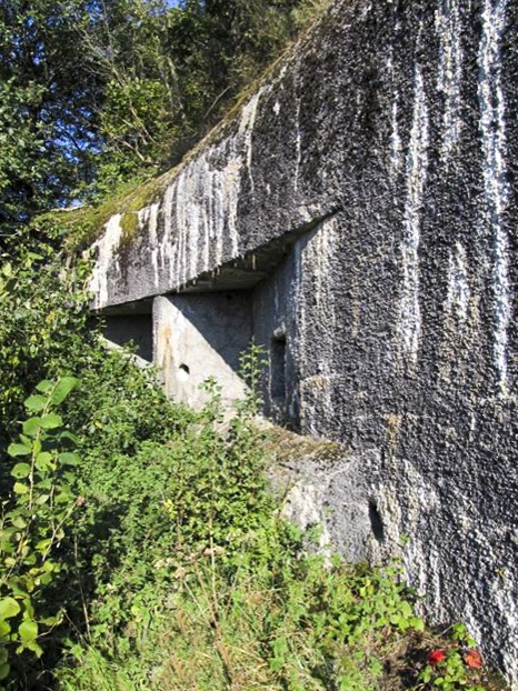 Ligne Maginot - A57 - AVANCÉE DE ROCROI - (Blockhaus pour canon) -  - François MATHOT