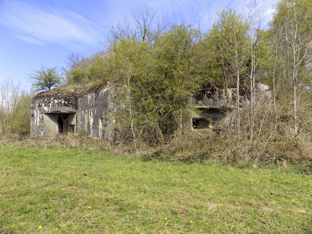 Ligne Maginot - A57 - AVANCÉE DE ROCROI - (Blockhaus pour canon) - L'arrière et face droite - R Tucker