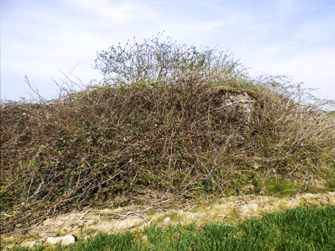 Ligne Maginot - B786 - FERME BEAUVOIR - (Observatoire d'infanterie) -  - JMBrams