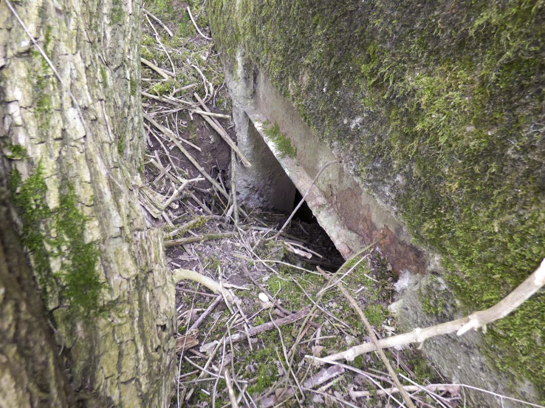 Ligne Maginot - B786 - FERME BEAUVOIR - (Observatoire d'infanterie) - Entrée - JMBrams