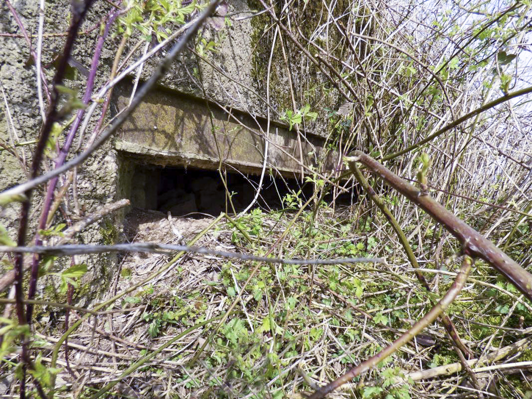 Ligne Maginot - B786 - FERME BEAUVOIR - (Observatoire d'infanterie) -  - JMBrams