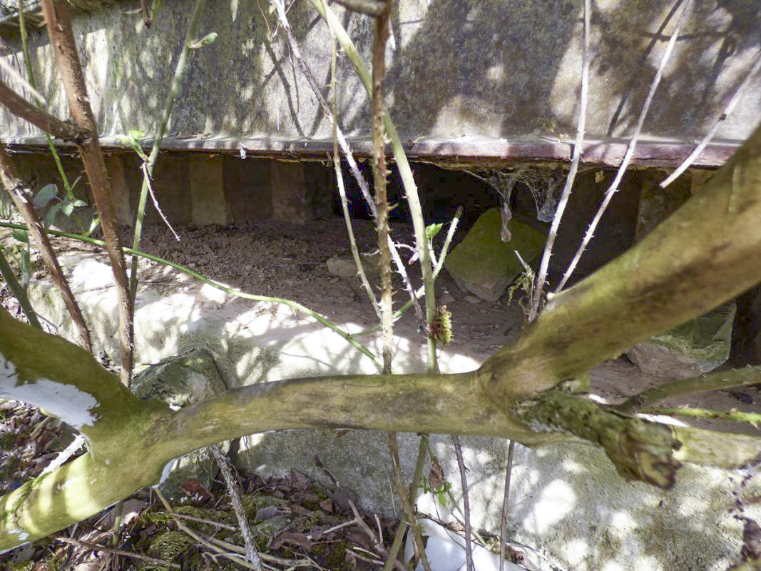 Ligne Maginot - B786 - FERME BEAUVOIR - (Observatoire d'infanterie) -  - JMBrams