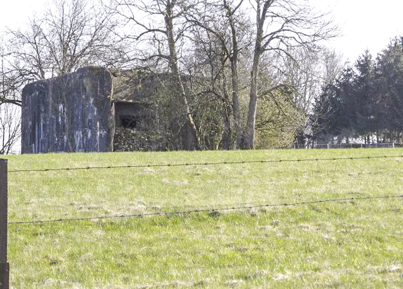 Ligne Maginot - A58 - HIRAUMONT NORD - (Blockhaus pour canon) -  - François MATHOT