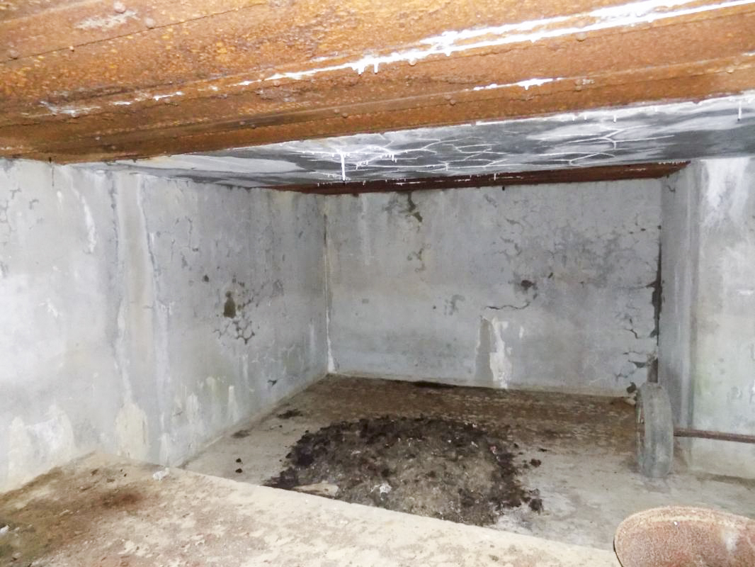 Ligne Maginot - A58 - HIRAUMONT NORD - (Blockhaus pour canon) -  - R Tucker