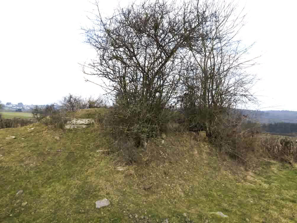 Ligne Maginot - BA92 - PETIT HONGREAU NORD-EST - (Blockhaus pour canon) -  - JMBrams