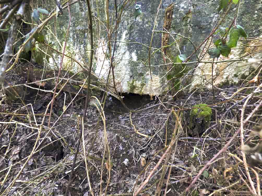 Ligne Maginot - BA92 - PETIT HONGREAU NORD-EST - (Blockhaus pour canon) -  - JMBrams