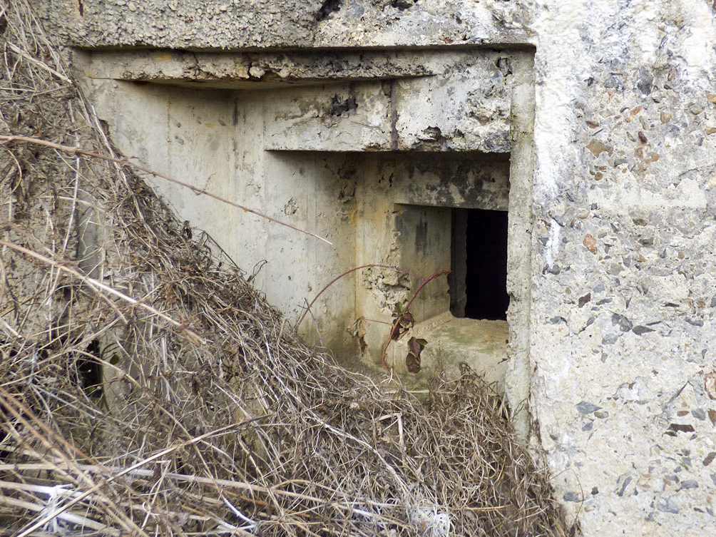 Ligne Maginot - A62 - PETIT HONGREAU SUD - (Blockhaus pour canon) -  - JMBrams