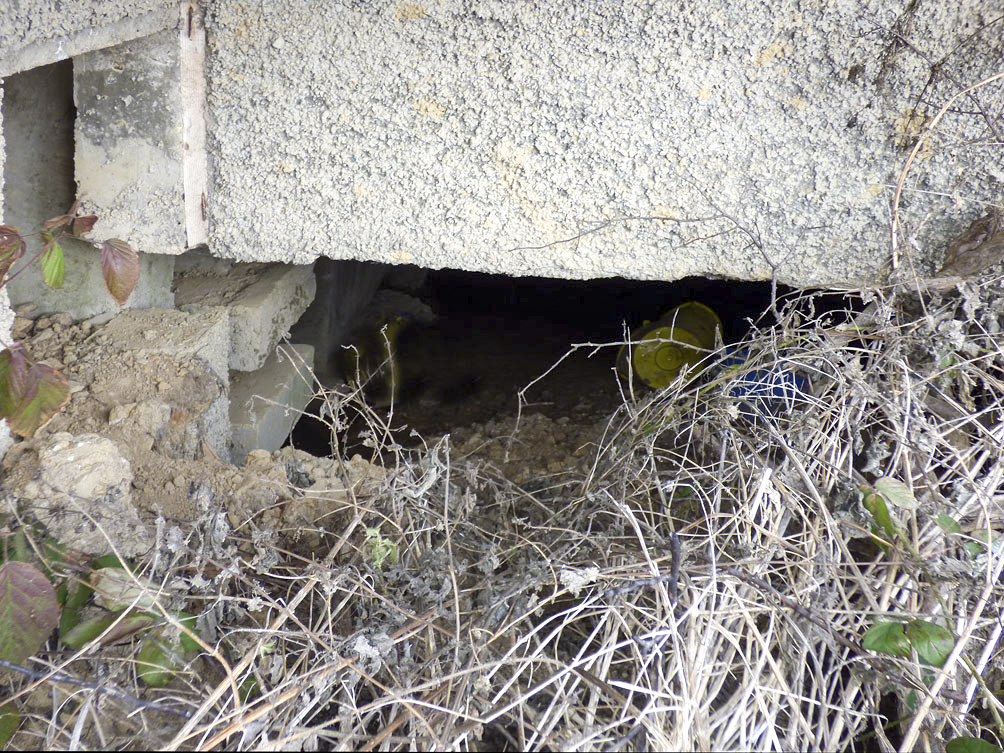 Ligne Maginot - A62 - PETIT HONGREAU SUD - (Blockhaus pour canon) -  - JMBrams