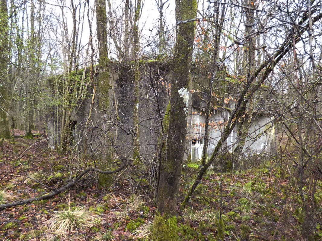 Ligne Maginot - A110 - PETIT MAUVAIS PAS - (Blockhaus pour canon) -  - JMBrams