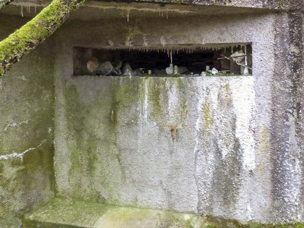 Ligne Maginot - A110 - PETIT MAUVAIS PAS - (Blockhaus pour canon) -  - JMBrams