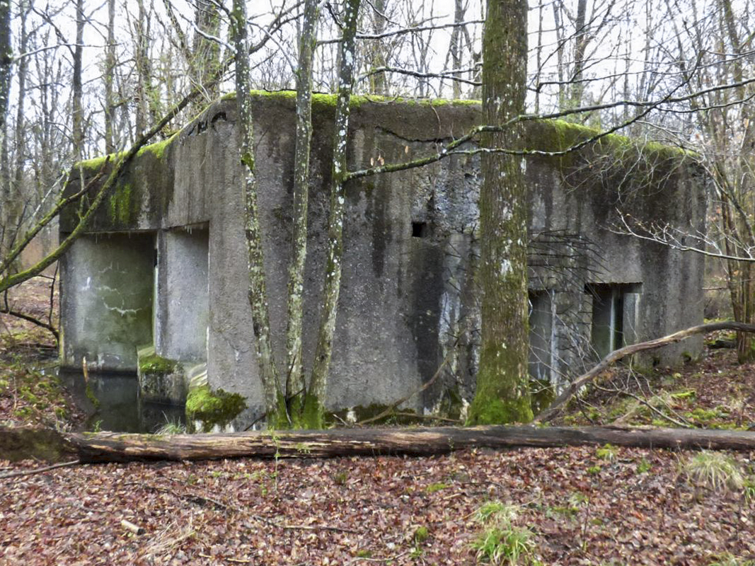 Ligne Maginot - A110 - PETIT MAUVAIS PAS - (Blockhaus pour canon) -  - JMBrams