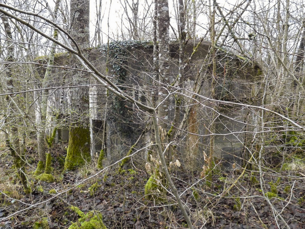 Ligne Maginot - A111 - FOUR à CENDRE - (Blockhaus pour canon) -  - JMBrams